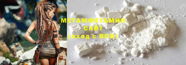 прущие грибы Каменногорск