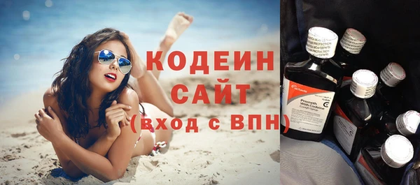 прущие грибы Каменногорск