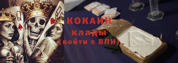 прущие грибы Каменногорск