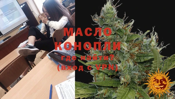 прущие грибы Каменногорск