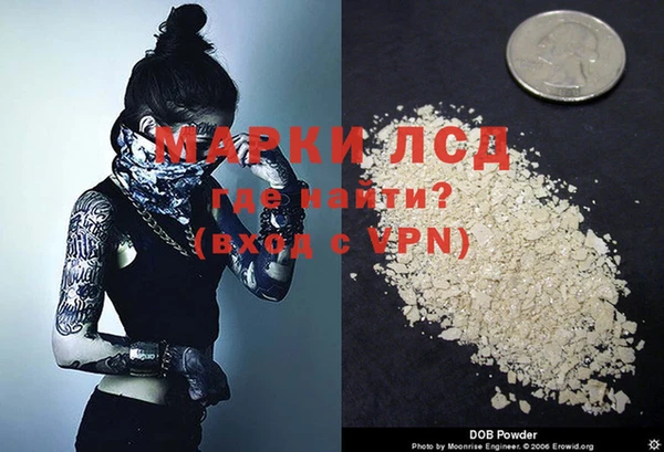 прущие грибы Каменногорск