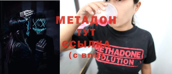 прущие грибы Каменногорск