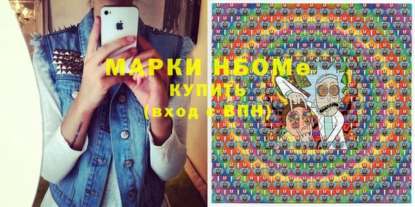 прущие грибы Каменногорск