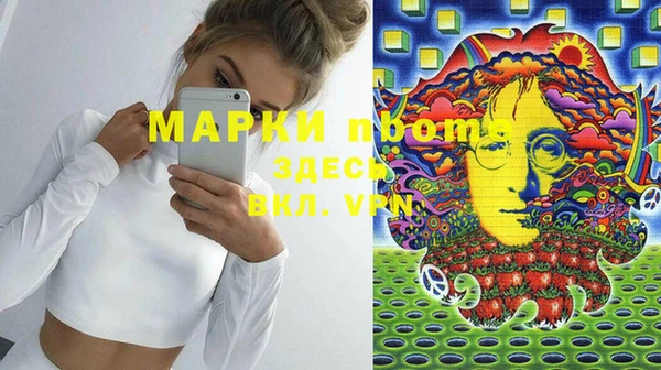 прущие грибы Каменногорск