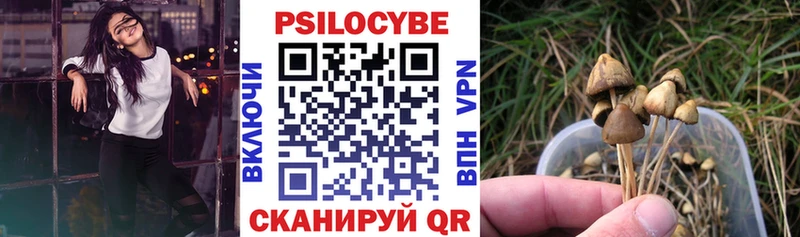Галлюциногенные грибы Cubensis Новокузнецк