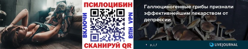 Купить где  Новокузнецк  Галлюциногенные грибы MAGIC MUSHROOMS 